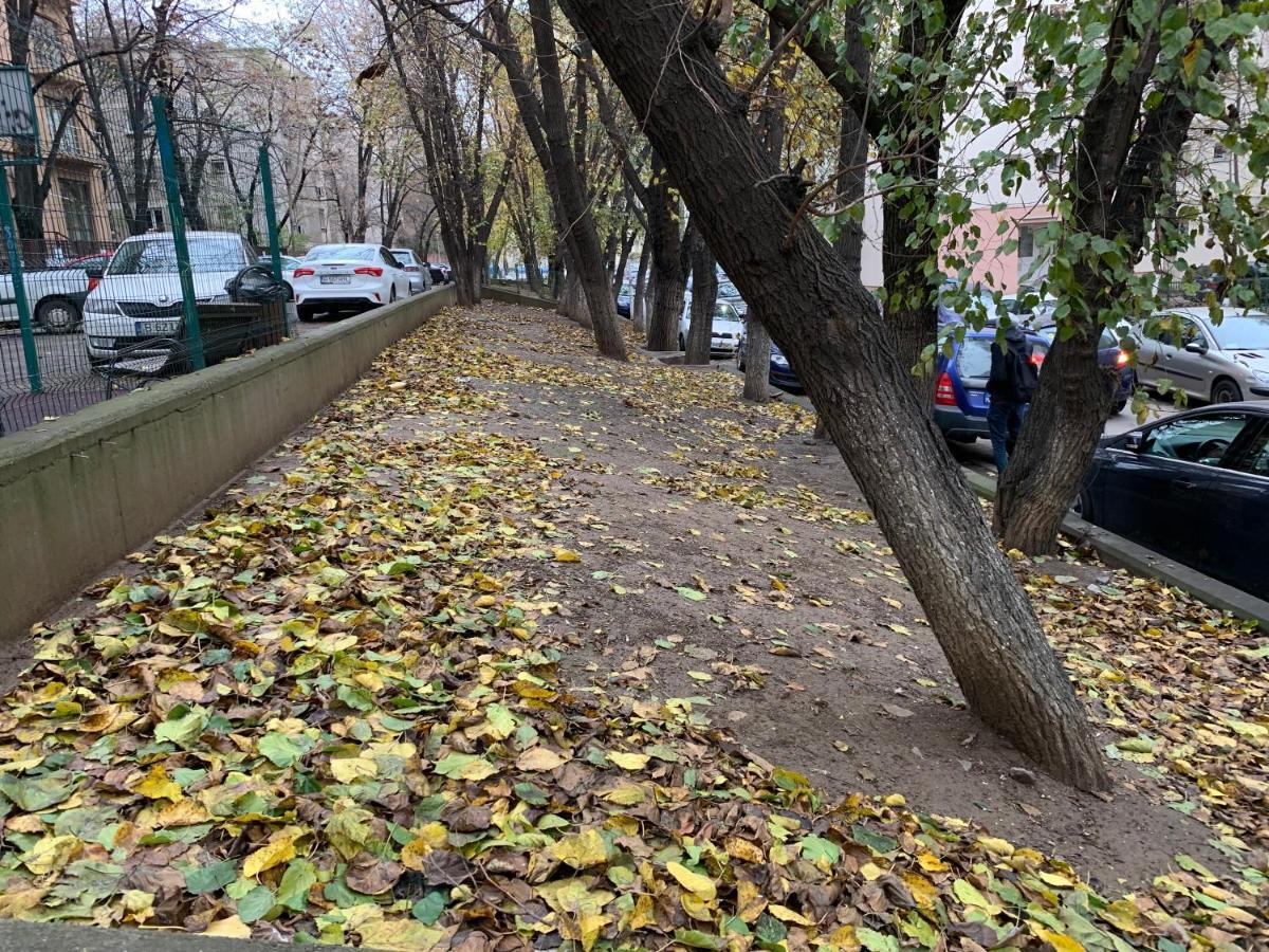 Center - Unirii Studio Apartment Bucharest
